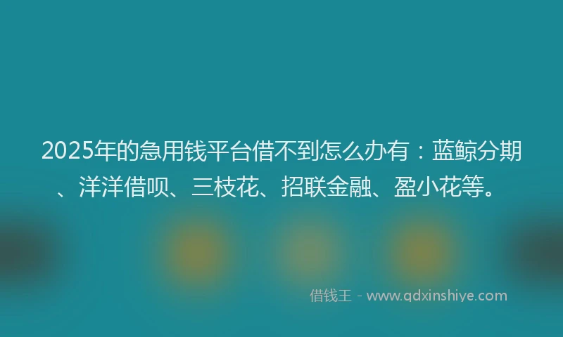 2025年的急用钱平台借不到怎么办有：蓝鲸分期、洋洋借呗、三枝花、招联金融、盈小花等。