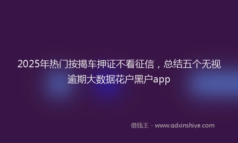 2025年热门按揭车押证不看征信，总结五个无视逾期大数据花户黑户app