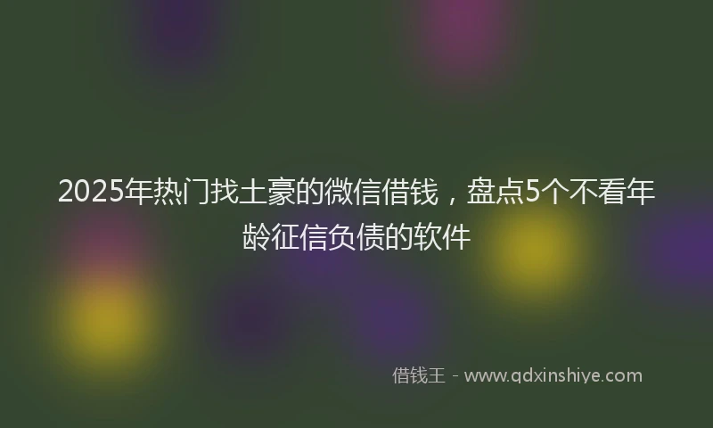 2025年热门找土豪的微信借钱，盘点5个不看年龄征信负债的软件