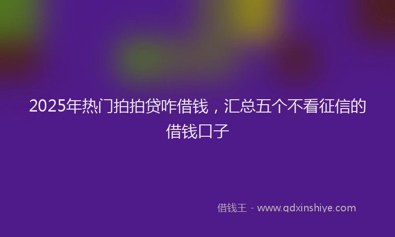 2025年热门拍拍贷咋借钱，汇总五个不看征信的借钱口子