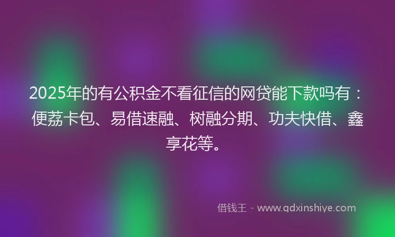 2025年的有公积金不看征信的网贷能下款吗有：便荔卡包、易借速融、树融分期、功夫快借、鑫享花等。