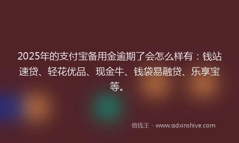 2025年的支付宝备用金逾期了会怎么样有：钱站速贷、轻花优品、现金牛、钱袋易融贷、乐享宝等。