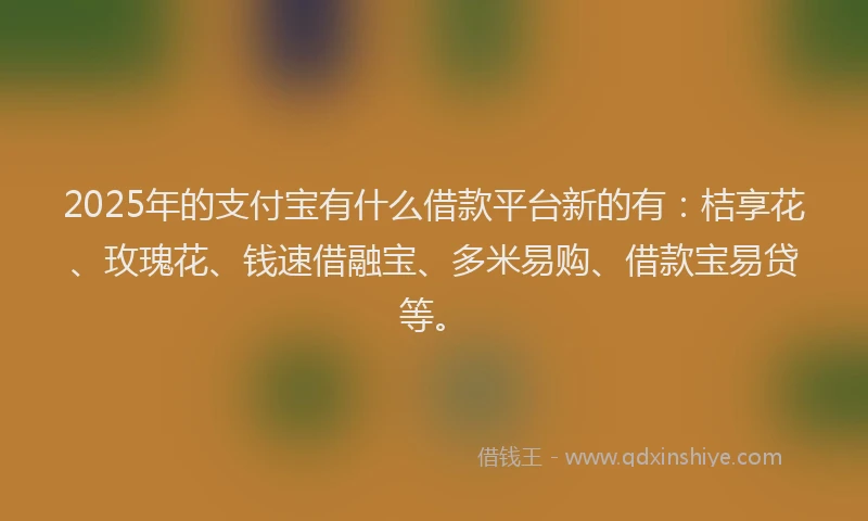 2025年的支付宝有什么借款平台新的有：桔享花、玫瑰花、钱速借融宝、多米易购、借款宝易贷等。