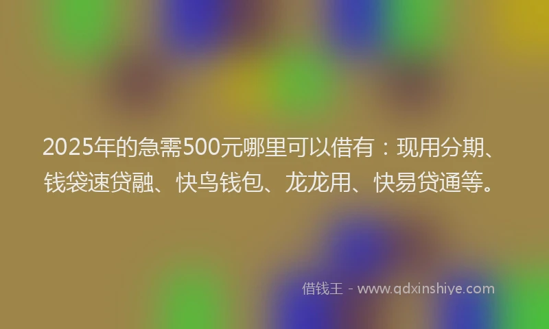 2025年的急需500元哪里可以借有：现用分期、钱袋速贷融、快鸟钱包、龙龙用、快易贷通等。