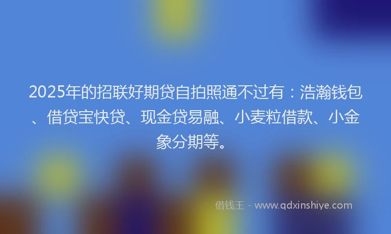 2025年的招联好期贷自拍照通不过有：浩瀚钱包、借贷宝快贷、现金贷易融、小麦粒借款、小金象分期等。