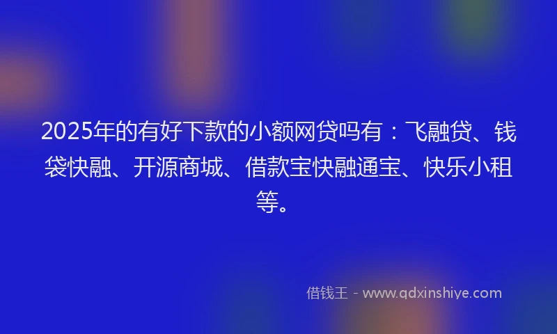 2025年的有好下款的小额网贷吗有：飞融贷、钱袋快融、开源商城、借款宝快融通宝、快乐小租等。