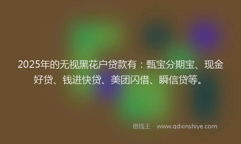 2025年的无视黑花户贷款有：甄宝分期宝、现金好贷、钱进快贷、美团闪借、瞬信贷等。