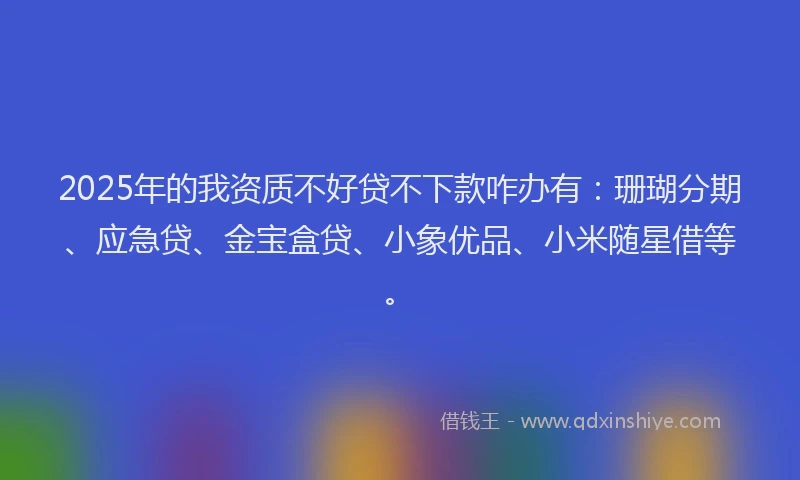2025年的我资质不好贷不下款咋办有：珊瑚分期、应急贷、金宝盒贷、小象优品、小米随星借等。