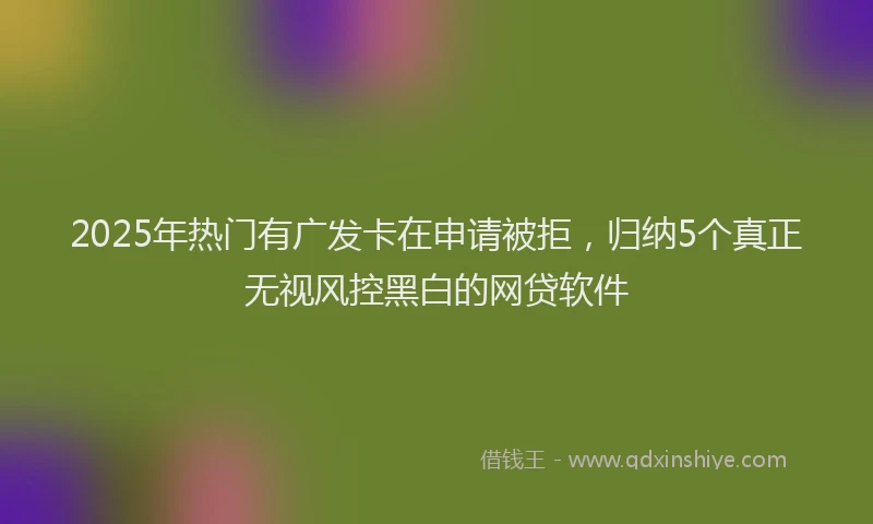 2025年热门有广发卡在申请被拒，归纳5个真正无视风控黑白的网贷软件