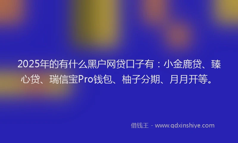 2025年的有什么黑户网贷口子有：小金鹿贷、臻心贷、瑞信宝Pro钱包、柚子分期、月月开等。