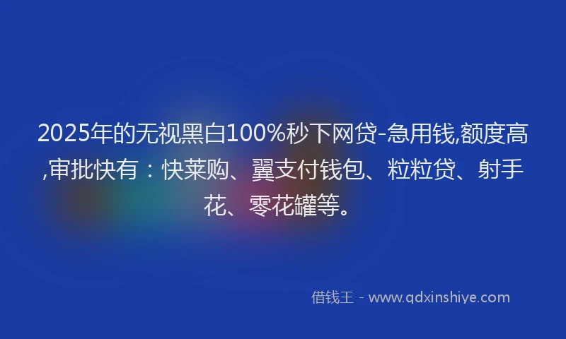 2025年的无视黑白100%秒下网贷-急用钱,额度高,审批快有：快莱购、翼支付钱包、粒粒贷、射手花、零花罐等。