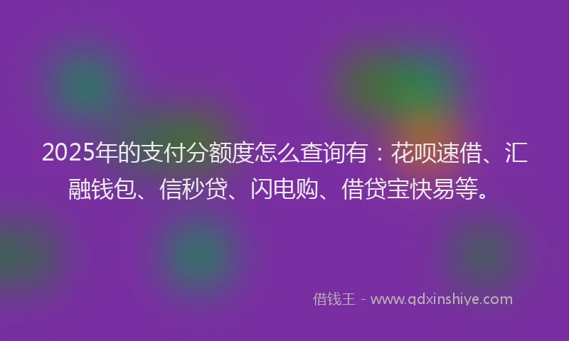 2025年的支付分额度怎么查询有：花呗速借、汇融钱包、信秒贷、闪电购、借贷宝快易等。