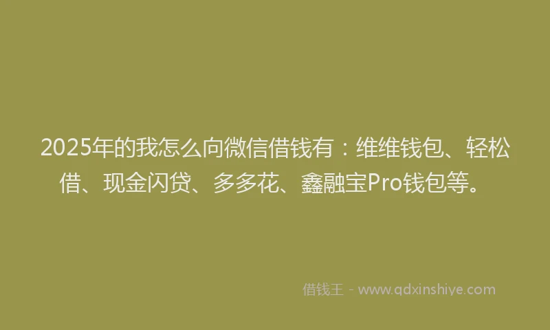 2025年的我怎么向微信借钱有：维维钱包、轻松借、现金闪贷、多多花、鑫融宝Pro钱包等。