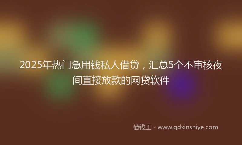2025年热门急用钱私人借贷，汇总5个不审核夜间直接放款的网贷软件