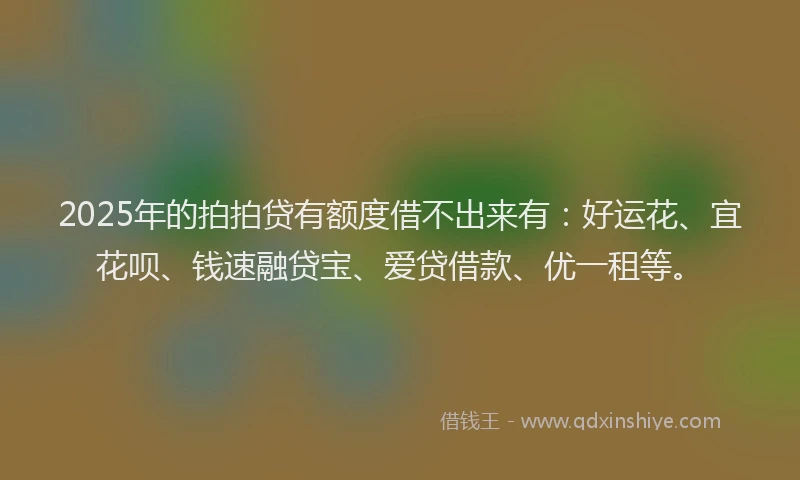2025年的拍拍贷有额度借不出来有：好运花、宜花呗、钱速融贷宝、爱贷借款、优一租等。