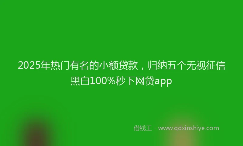 2025年热门有名的小额贷款，归纳五个无视征信黑白100%秒下网贷app