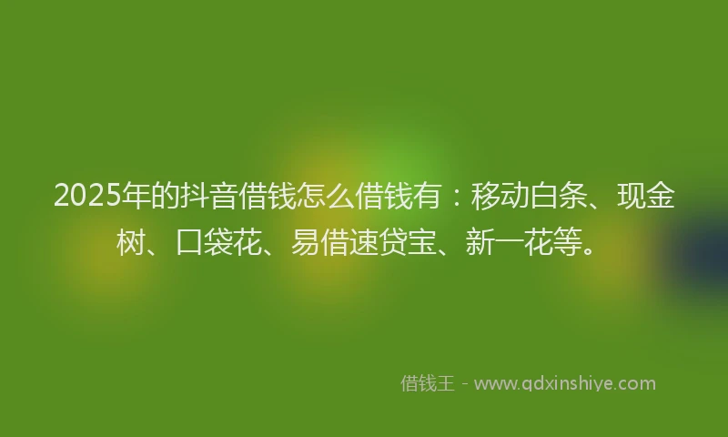 2025年的抖音借钱怎么借钱有：移动白条、现金树、口袋花、易借速贷宝、新一花等。