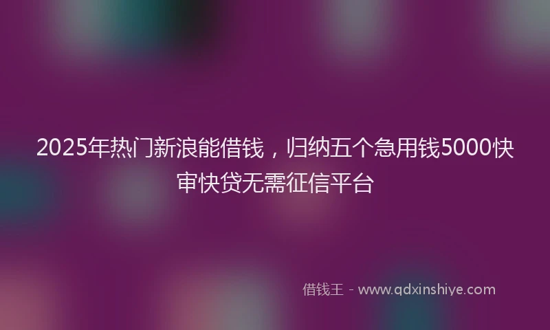 2025年热门新浪能借钱，归纳五个急用钱5000快审快贷无需征信平台