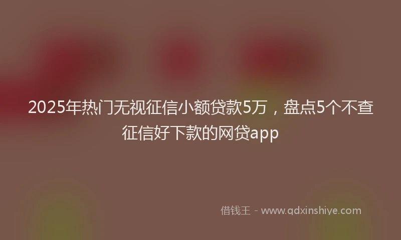 2025年热门无视征信小额贷款5万，盘点5个不查征信好下款的网贷app