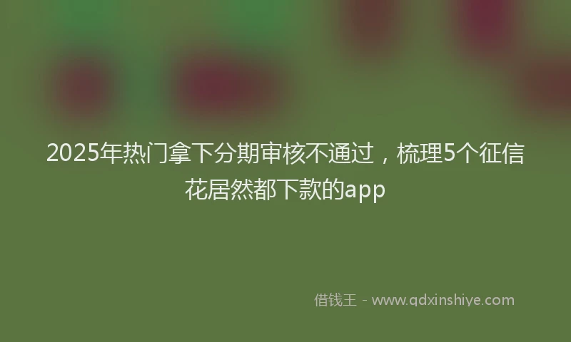 2025年热门拿下分期审核不通过，梳理5个征信花居然都下款的app