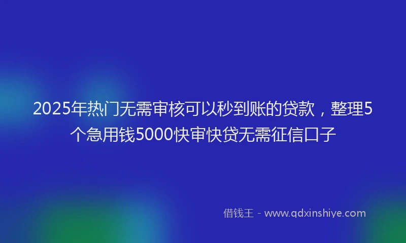 2025年热门无需审核可以秒到账的贷款，整理5个急用钱5000快审快贷无需征信口子