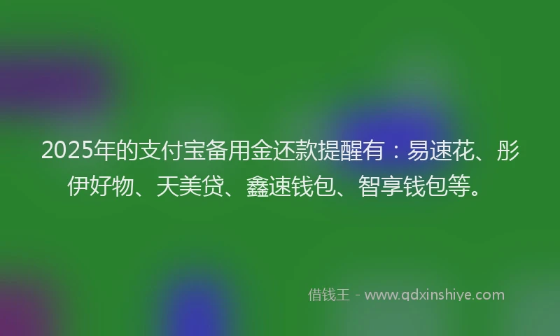 2025年的支付宝备用金还款提醒有：易速花、彤伊好物、天美贷、鑫速钱包、智享钱包等。