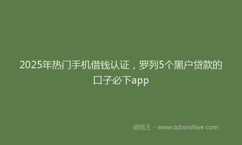 2025年热门手机借钱认证，罗列5个黑户贷款的口子必下app