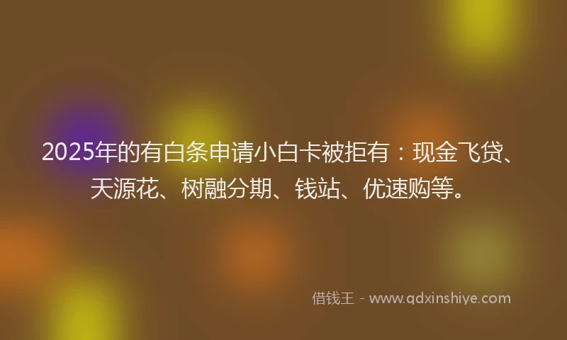 2025年的有白条申请小白卡被拒有：现金飞贷、天源花、树融分期、钱站、优速购等。