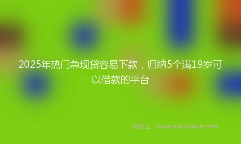 2025年热门急现贷容易下款，归纳5个满19岁可以借款的平台