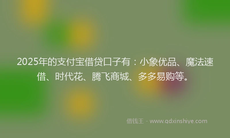 2025年的支付宝借贷口子有：小象优品、魔法速借、时代花、腾飞商城、多多易购等。