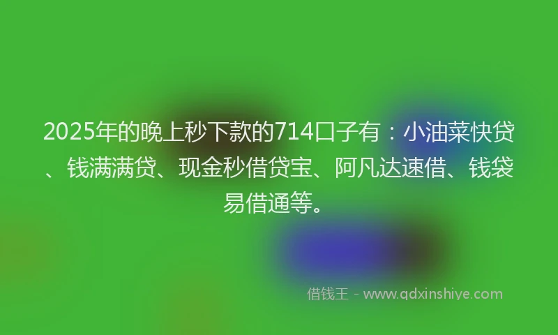 2025年的晚上秒下款的714口子有：小油菜快贷、钱满满贷、现金秒借贷宝、阿凡达速借、钱袋易借通等。