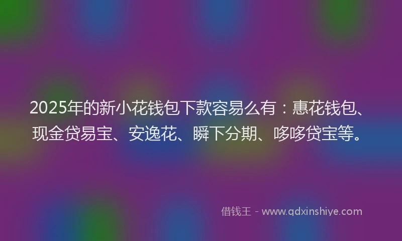 2025年的新小花钱包下款容易么有：惠花钱包、现金贷易宝、安逸花、瞬下分期、哆哆贷宝等。