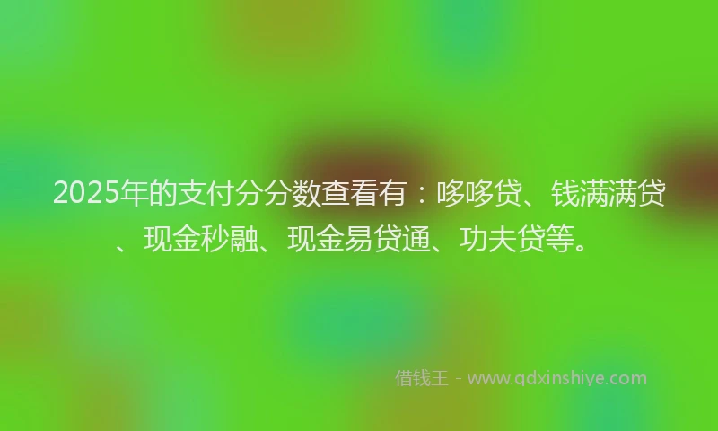 2025年的支付分分数查看有：哆哆贷、钱满满贷、现金秒融、现金易贷通、功夫贷等。