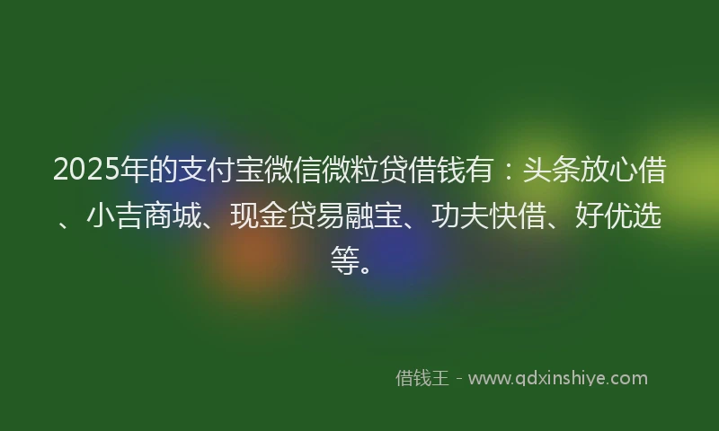 2025年的支付宝微信微粒贷借钱有：头条放心借、小吉商城、现金贷易融宝、功夫快借、好优选等。