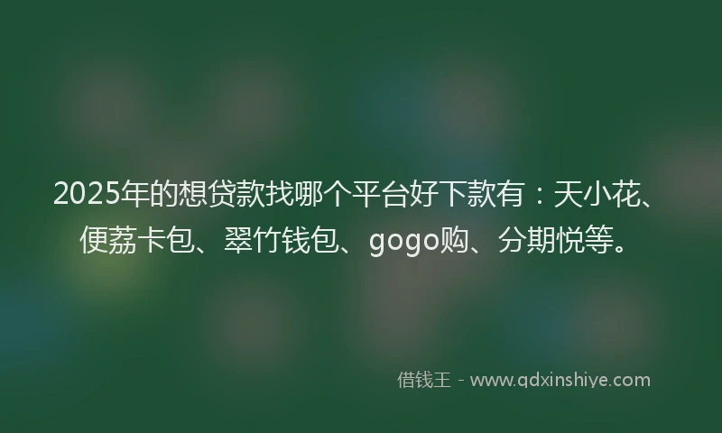 2025年的想贷款找哪个平台好下款有：天小花、便荔卡包、翠竹钱包、gogo购、分期悦等。