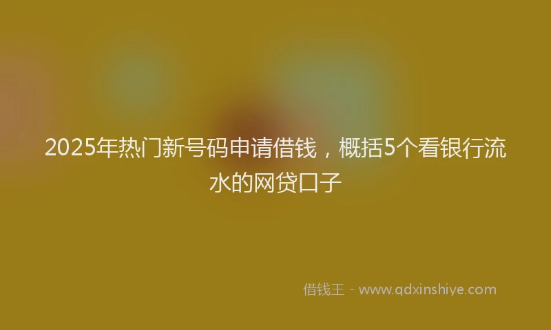 2025年热门新号码申请借钱，概括5个看银行流水的网贷口子