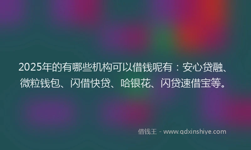 2025年的有哪些机构可以借钱呢有：安心贷融、微粒钱包、闪借快贷、哈银花、闪贷速借宝等。