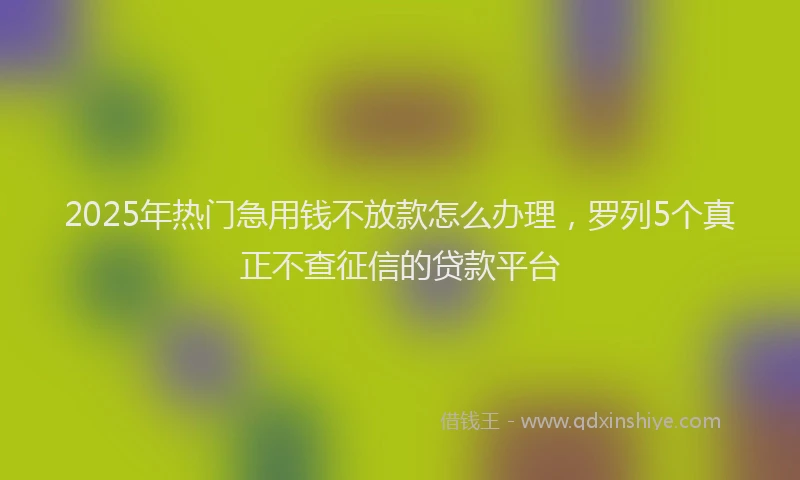 2025年热门急用钱不放款怎么办理，罗列5个真正不查征信的贷款平台