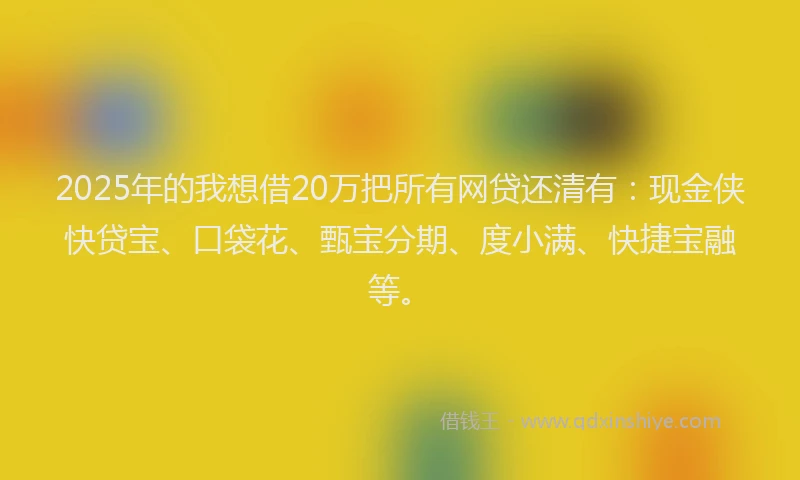 2025年的我想借20万把所有网贷还清有：现金侠快贷宝、口袋花、甄宝分期、度小满、快捷宝融等。