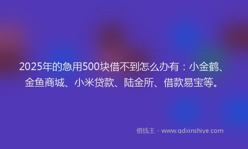 2025年的急用500块借不到怎么办有：小金鹤、金鱼商城、小米贷款、陆金所、借款易宝等。