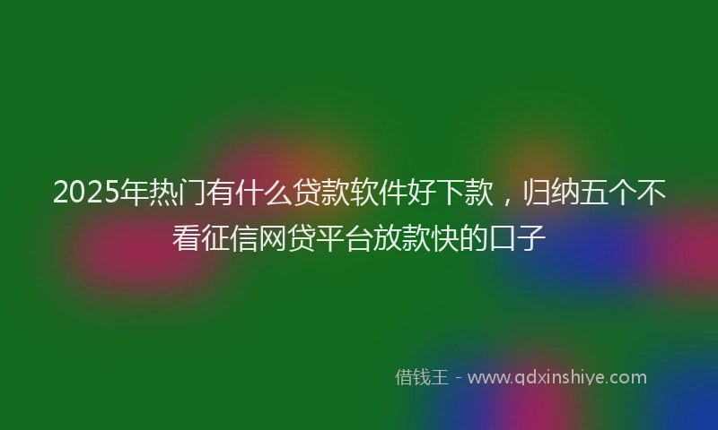 2025年热门有什么贷款软件好下款，归纳五个不看征信网贷平台放款快的口子