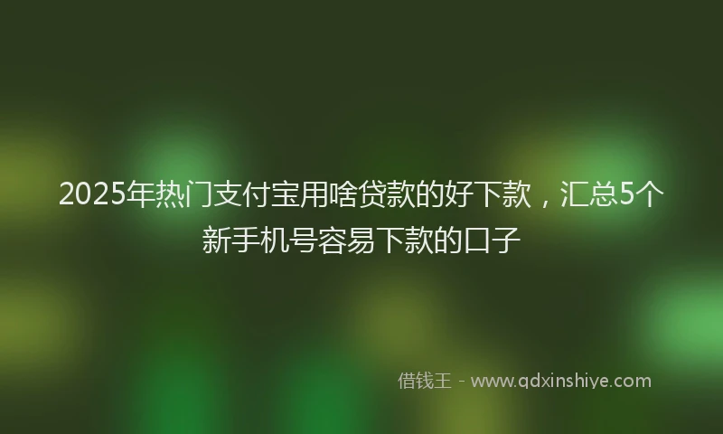 2025年热门支付宝用啥贷款的好下款，汇总5个新手机号容易下款的口子