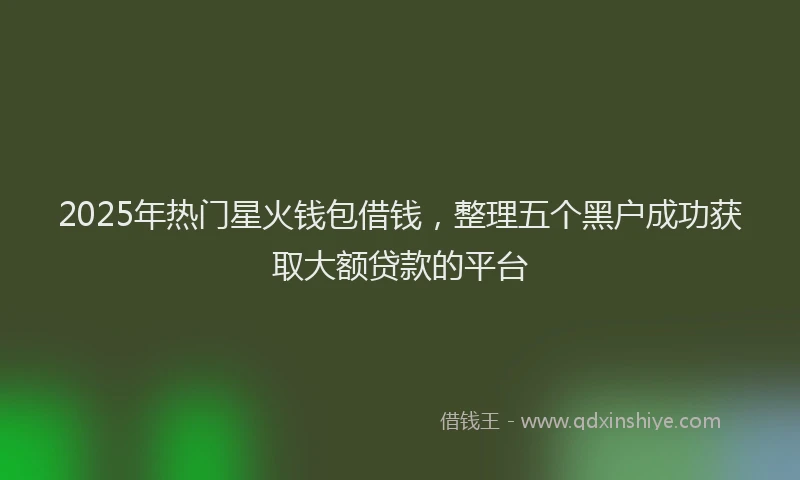 2025年热门星火钱包借钱，整理五个黑户成功获取大额贷款的平台
