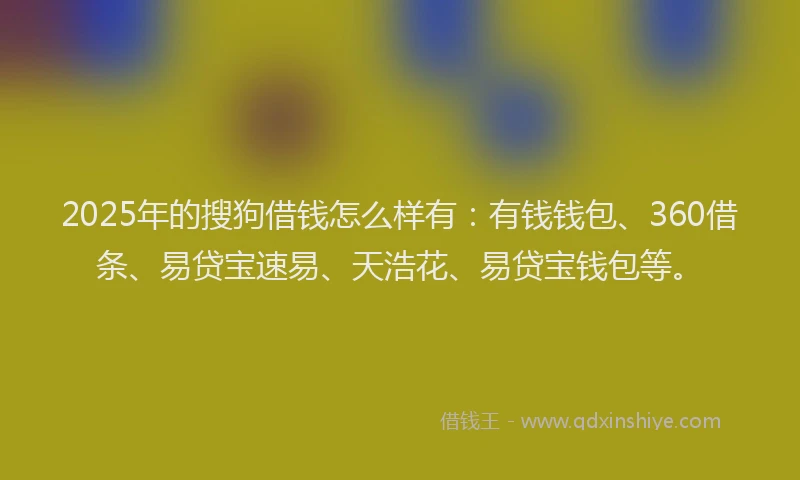 2025年的搜狗借钱怎么样有：有钱钱包、360借条、易贷宝速易、天浩花、易贷宝钱包等。