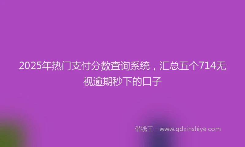 2025年热门支付分数查询系统，汇总五个714无视逾期秒下的口子