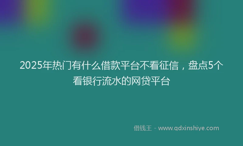 2025年热门有什么借款平台不看征信，盘点5个看银行流水的网贷平台