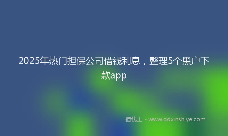 2025年热门担保公司借钱利息，整理5个黑户下款app