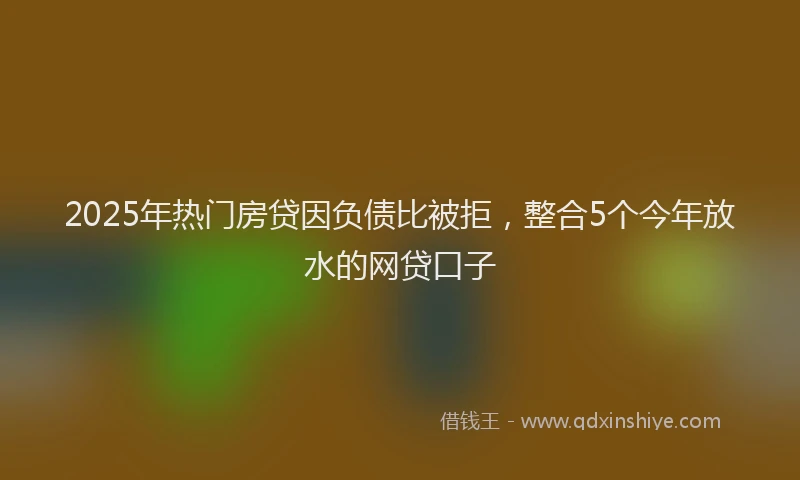 2025年热门房贷因负债比被拒，整合5个今年放水的网贷口子