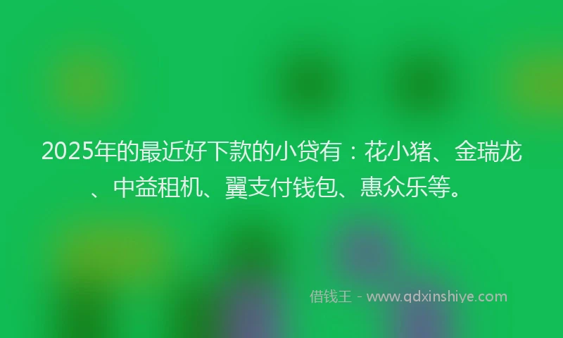 2025年的最近好下款的小贷有：花小猪、金瑞龙、中益租机、翼支付钱包、惠众乐等。