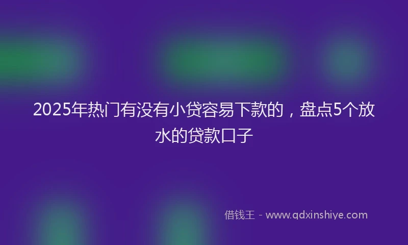 2025年热门有没有小贷容易下款的，盘点5个放水的贷款口子